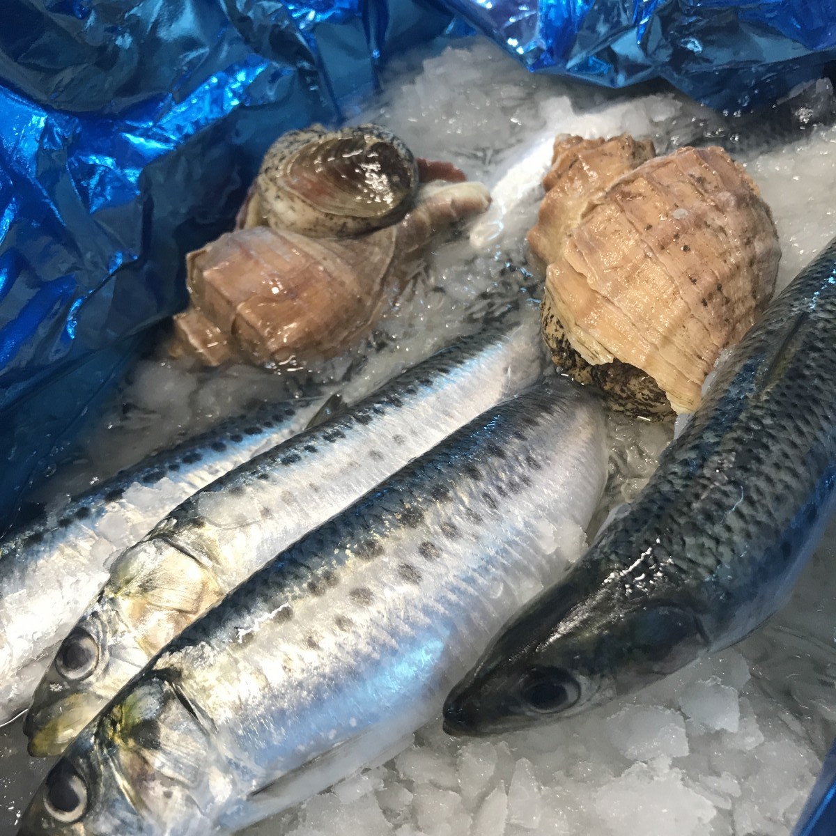 北海道の味入荷しました。